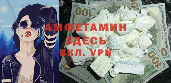 индика Абинск