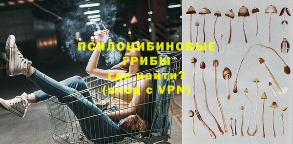 индика Абинск