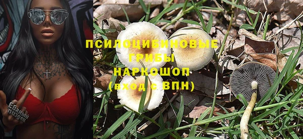 индика Абинск