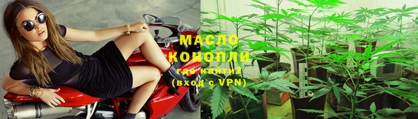 индика Абинск