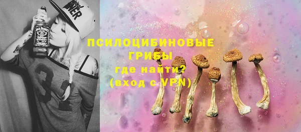 индика Абинск