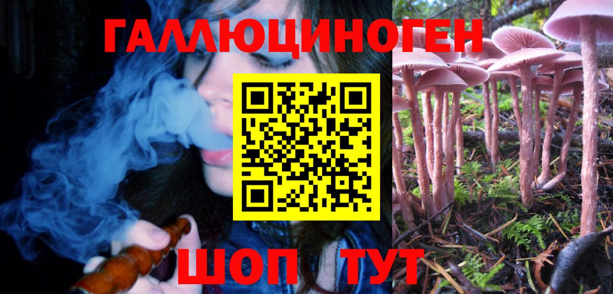 Галлюциногенные грибы Magic Shrooms  Галлюциногенные грибы Psilocybine cubensis  Вход с VPN  Хасавюрт 