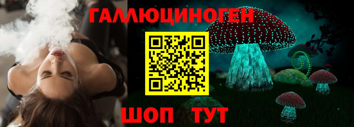 Галлюциногенные грибы прущие грибы Хасавюрт