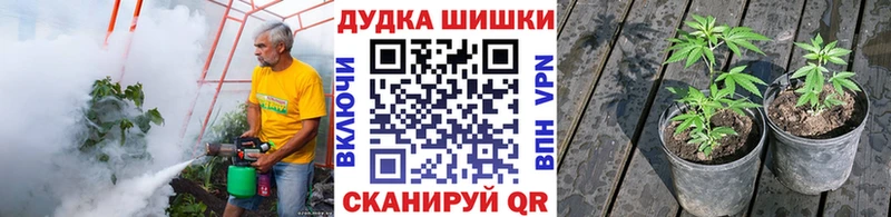 Канабис VHQ  Хасавюрт 